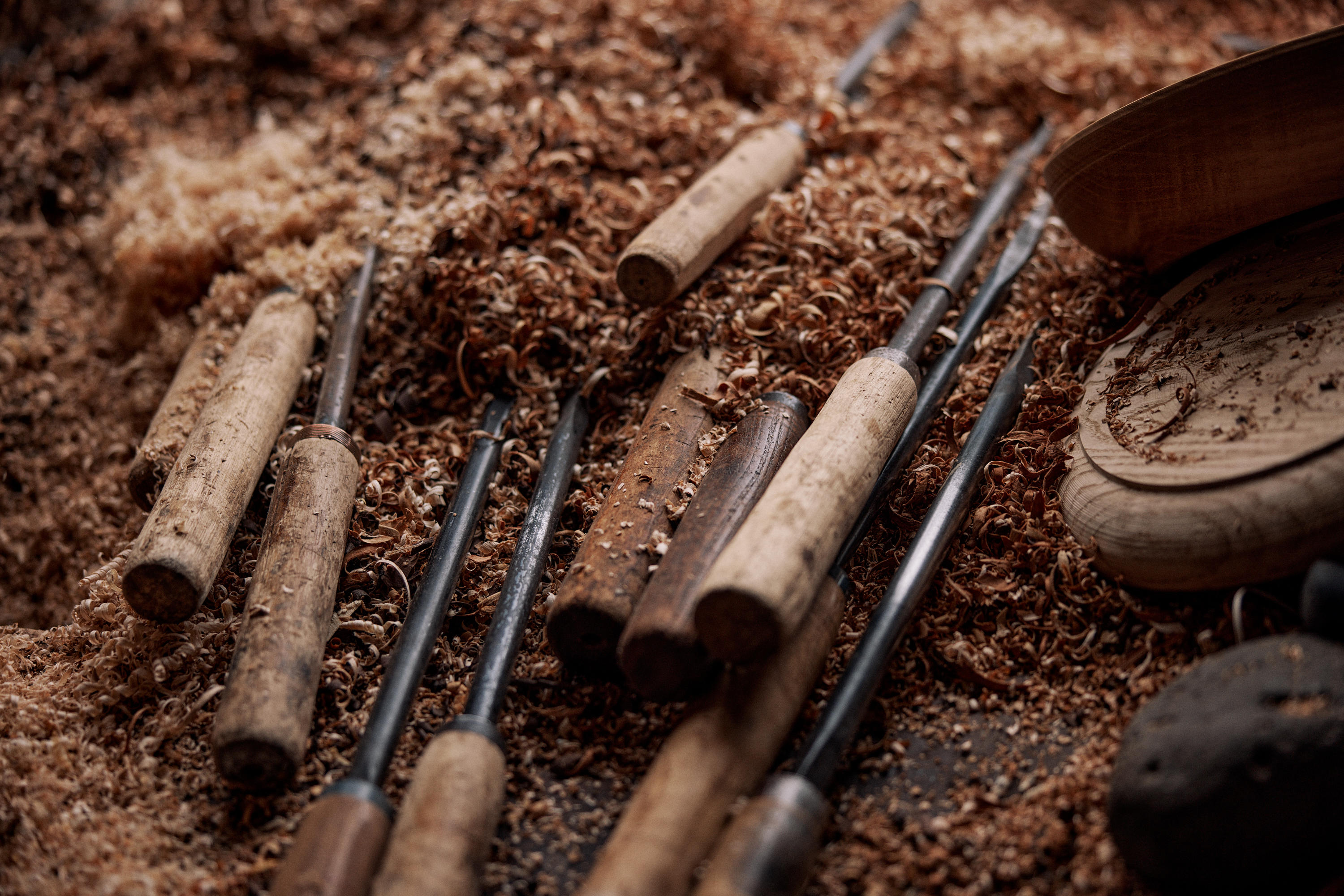 Winter visit to sacred tree